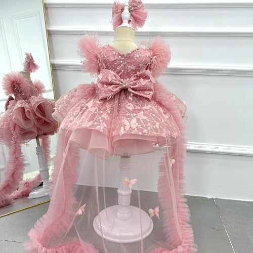 KLFFLGID Baby Flower Girl Pageant Dress Butterfly Embroidered Sequin lace Toddler Formal Wedding Party Dress 6M-6T4