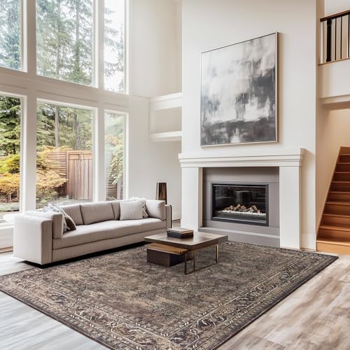 LAISE 8x10 ft Area Rug – Boho Indoor Rug, Low Pile, Machine Washable, Non-Slip, for Living Room, Bedroom, Dining Room