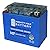 Mighty Max Battery YTX12-BSGEL -12 Volt 10 AH, GEL Type, 180 CCA, Rechargeable Maintenance Free SLA AGM Motorcycle Battery