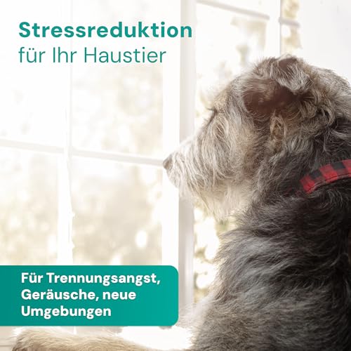 Emmi-pet Remedy Beruhigender Duftstecker mit Nachfüllung I Natürliches Anti-Stress Mittel für Haustiere I Beruhigung bei Angst, Stress, Feuerwerk & Tierarzt I Für Hund, Katze, Nager, Vogel & Pferd
