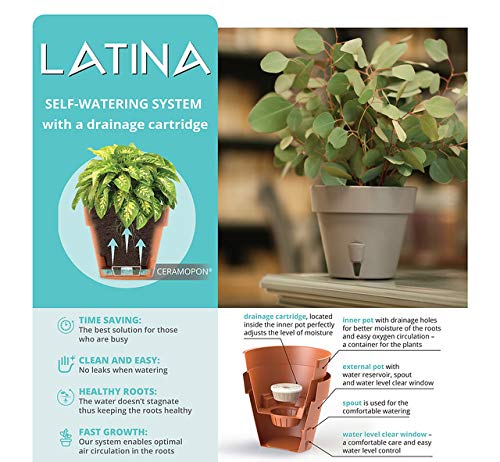 Amazon.com : Gardenera 10.8" LATINA Self Watering Planters (SET of 3) in  JADE - Flower Pot with Bottom Watering and Water Level Indicator for  Indoor/Outdoor use for All Plants, Flowers, Herbs :