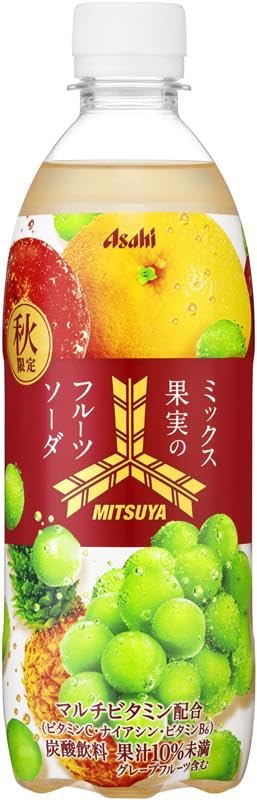 Amazon.co.jp: 三ツ矢 ミックス果実のフルーツソーダ 500ml×24本