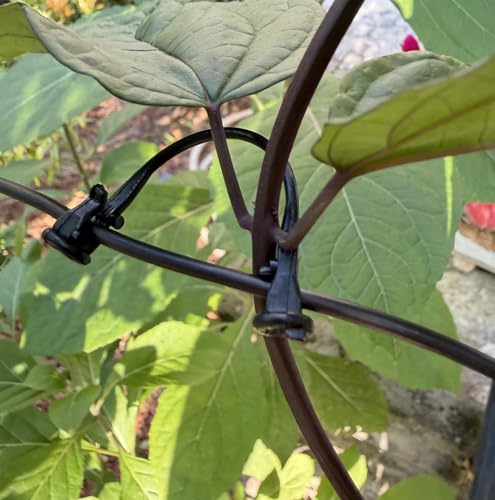 300PCS Raspberry Trellis Clips - Grape Trellis for Grape Vines Support Kiwi Stem Tomato Climbing Plants Vine Clips Grape Ties Garden Plant Support Clips Holder Fruit Buckles Hooks Training Grow Ties