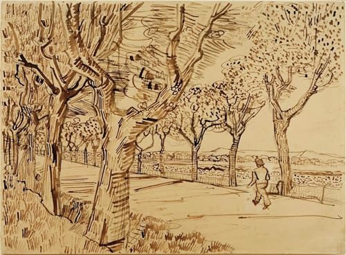 Impression Van Gogh La Route de Tarascon affiche poster sur toile 60x90cm