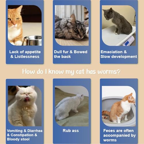 Advanllent Flea Collar for Cats, Flea and Tick Collars for Kittens, Flea & Tick Treatment Prevention, Natural Essential Oil, 2 Pack, 16 Months Protection, One Size Fits All, Waterproof