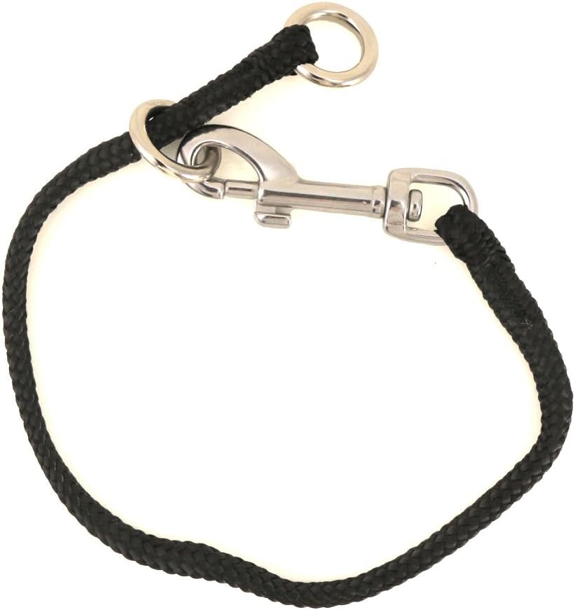 13" Dominant Dog Collar Pet Collars Pet Supplies