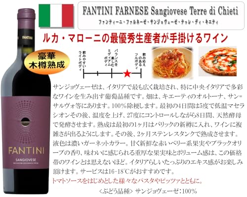 ヴィネクシオ 厳選イタリア 赤ワイン 5本セット