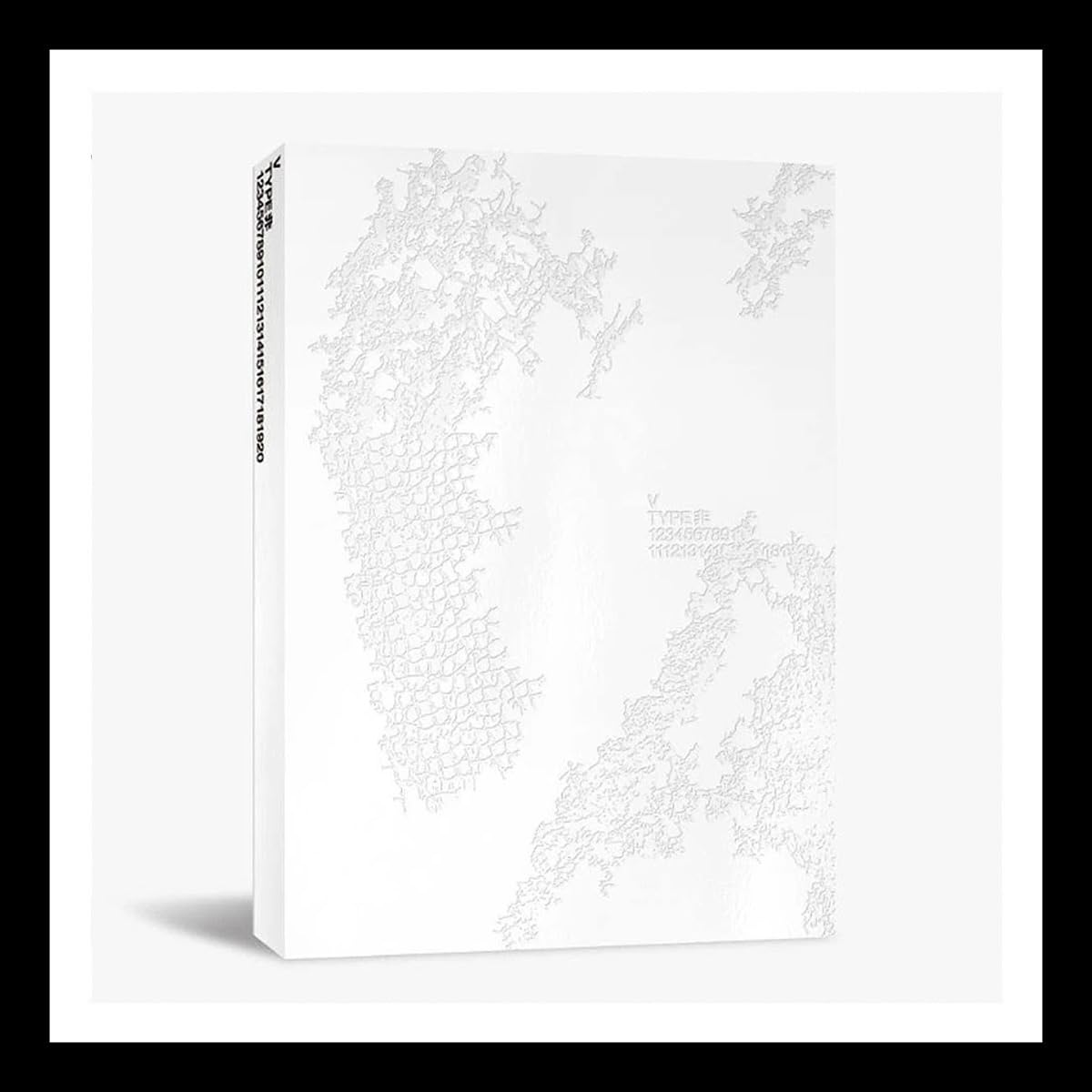 Amazon.com: V 'TYPE 非' PHOTO BOOK(278p)+GIFT K-POP SEALED : Home