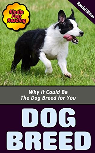 Dog Breed Why It Could Be The Dog Breed For You Kindle Edition By Miller Stacie Crafts Hobbies Home Kindle Ebooks Amazon Com