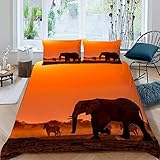 Bettwäsche 155x220 Elefant Zebra Kinder Teenager 3D Druck Sonnenuntergang Tiere Bettbezug Weich 100% Mikrofaser Sommer Bettwäsche-Sets 3 Teilig mit Reißverschluss und 2 Kissenbezüge 80x80 cm