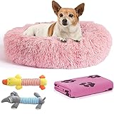 Cama Perro Antiestrés con Manta y 2 Juguetes para Perros, Cama para Perros Pequeños Redonda Tipo Donut de 50cm., Manta para Perro y 2 Juguetes para Perros