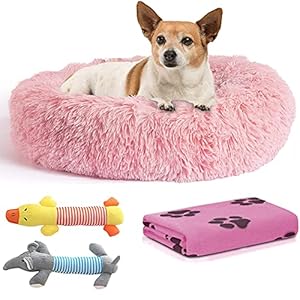 Cama Perro Antiestrés con Manta y 2 Juguetes para Perros, Cama para Perros Pequeños Redonda Tipo Donut de 50cm., Manta para Perro y 2 Juguetes para Perros