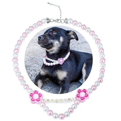 SM4BED ̎ p[lbNXAzCgƃsÑr[YƃObhK[Ƃ킢ԁA^p̒߉\ȃybgWG[AXL 17C`