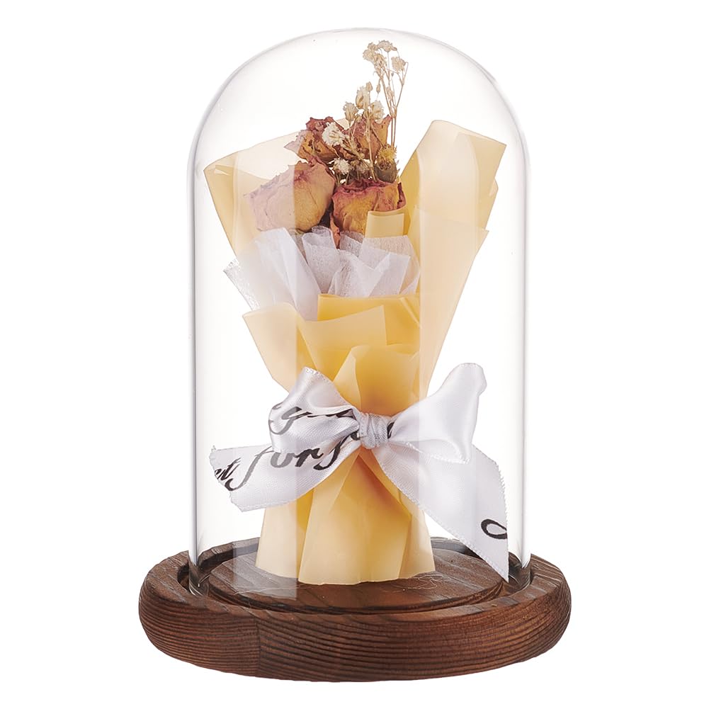 nbeads Glazen koepel, eeuwige roos bel vaas van helder glas koepeldisplay midden tafel met houten sokkel voor taart bloem verjaardag Valentijnsdag Moederdag 11,3 x 16 cm