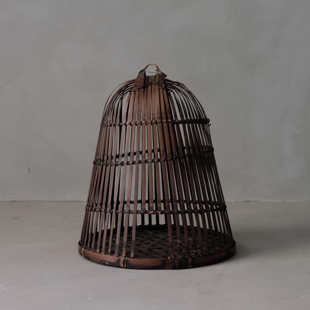 鳥籠の 鳥の巣 古道具 アンティーク オブジェ Amazon.co.jp: 01967 古いラタン鳥かご/鳥籠 鳥篭 籐 バードケージ 古