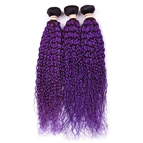 Tony Beauty Hair #1B/Purple Ombre Curly Human Hair Bundles Deals 3Pcs Lot Jerry Curly Ombre Purple Brazilian Human Hair Weave Extensions Dark Roots Double Wefts 10-30" Mixed Length (14 16 16) #TOP4