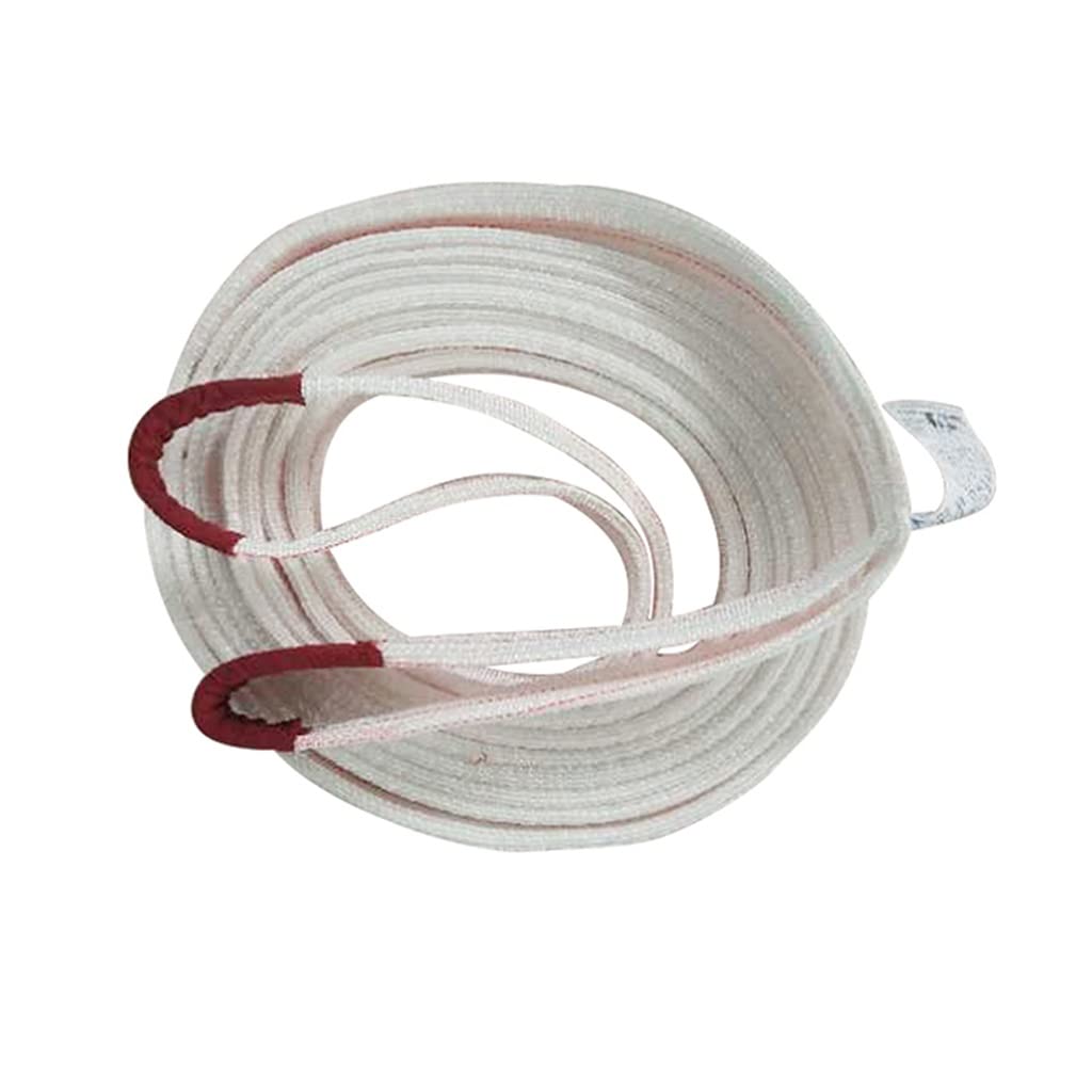 Lift Sling Straps Duplex Webbing Lifting Flat Sling Hoist Crane Cargo Strap Multi-Layer Weaving Heavy Lifting Straps 3/5T Lift Sling Strap for Movers (Color : 3T, Size : 10M)