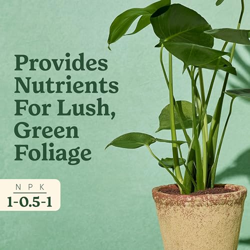 Miracle-Gro Indoor Plant Food for Tropicals, 8 fl. oz. (2-Pack) - image 4