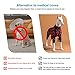 LovinPet Hunde-Pyjama, Bekleidung für mittelgroße Hunde – große Hundejammies, Blumenmuster, Marineblau und Rubin, Pitbull-Kleidung, leichter Pullover, Haustier-Pyjama, Pitbull-Einteiler, Größe L