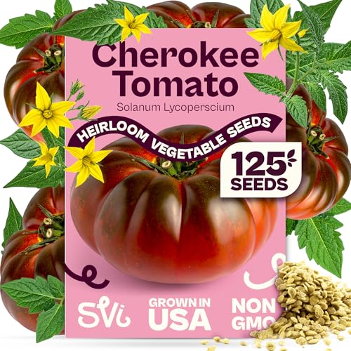 SVI 125 Cherokee Purple Tomato Seeds (Solanum Lycopersicum) - Purple Cherokee Tomato Seed Packets - Heirloom Tomatoes Vegetable Seeds for Outdoor Garden Beds Greenhouses Containers
