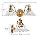XIEDUN Bathroom Vanity Lights Over Mirror Vintage Bathroom Light Fixtures 2 Light Brass Vanity Lights for Vanity Lighting Fixtures