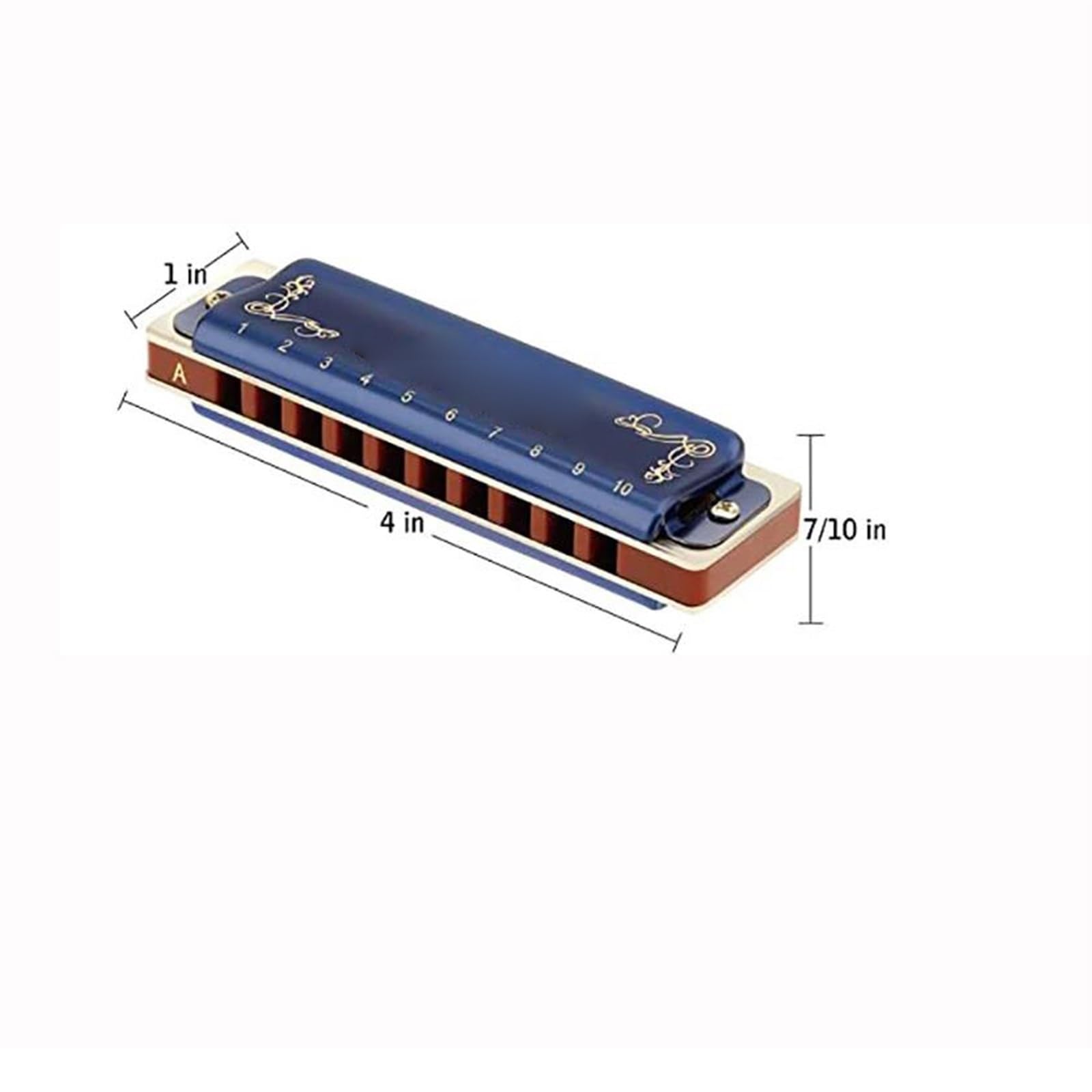 Armonica A Bocca Per Arpa Armonica Diatonica A 10 Fori Da 20 Toni Con Armonica Per Studenti Con Custodia Blu armonica a bocca professionale (Color : Key of Gb)