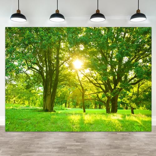 ASDCXZ 12x10ft Spring Backdrop Green Forest Sunshine Photography Background Jungle Trees Grass Field Nature Scenery Kids Birthday Baby Shower Banner Decorations Wedding Portrait Photo Booth Prop