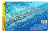French Reef Key Largo Florida Keys Waterproof Dive Card