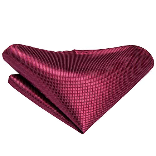 Dubulle Burgundy Mens Ascot Handkerchief Jacquard Woven Self Cravat Tie Ascot - Thumbnail 5
