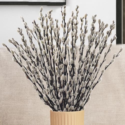 Oning 40 Stems Real Dried Pussywillow Preserved Greenery Branches for Vase-16'' Natural Pussywillows with White Flowers, Snow Willow Branches for Easter Wedding Home Party Hotel Fireplace Yard Decor