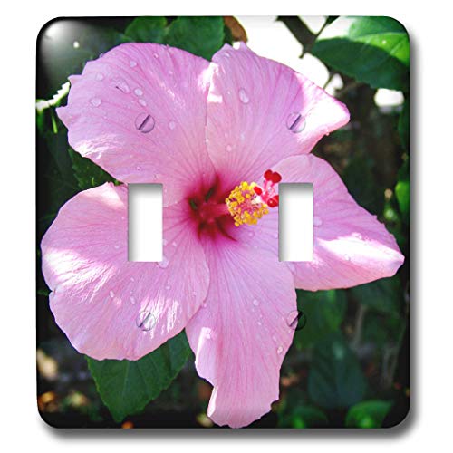Interrupteur Hibiscus Rose 3dRose commande éclairage baïonnette fleur