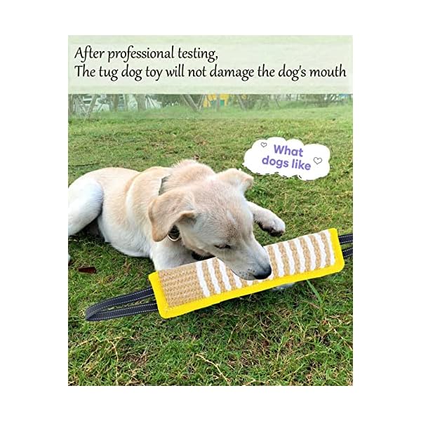 Clysoru-Tug-Toy-for-Dogs-Jute-Bite-Resistant-Pillow-Durable-Training-Equipment-Puppy-to-Large-Dogs-Interactive-Toy-with-2-Strong-Handles-Hemp-Rope-Yellow Aggressive Dog Training Tool: Clysoru Tug Toy