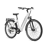 e bike kaufen  DERUIZ E-Bike 28 Zoll Elektrofahrrad Alu mit 7-Gang Shimano Nabenschaltung, Quartz Pedelec Citybike, Heckmotor 250W und DownTube 644Wh, 48V Lithium-Ionen-Akku