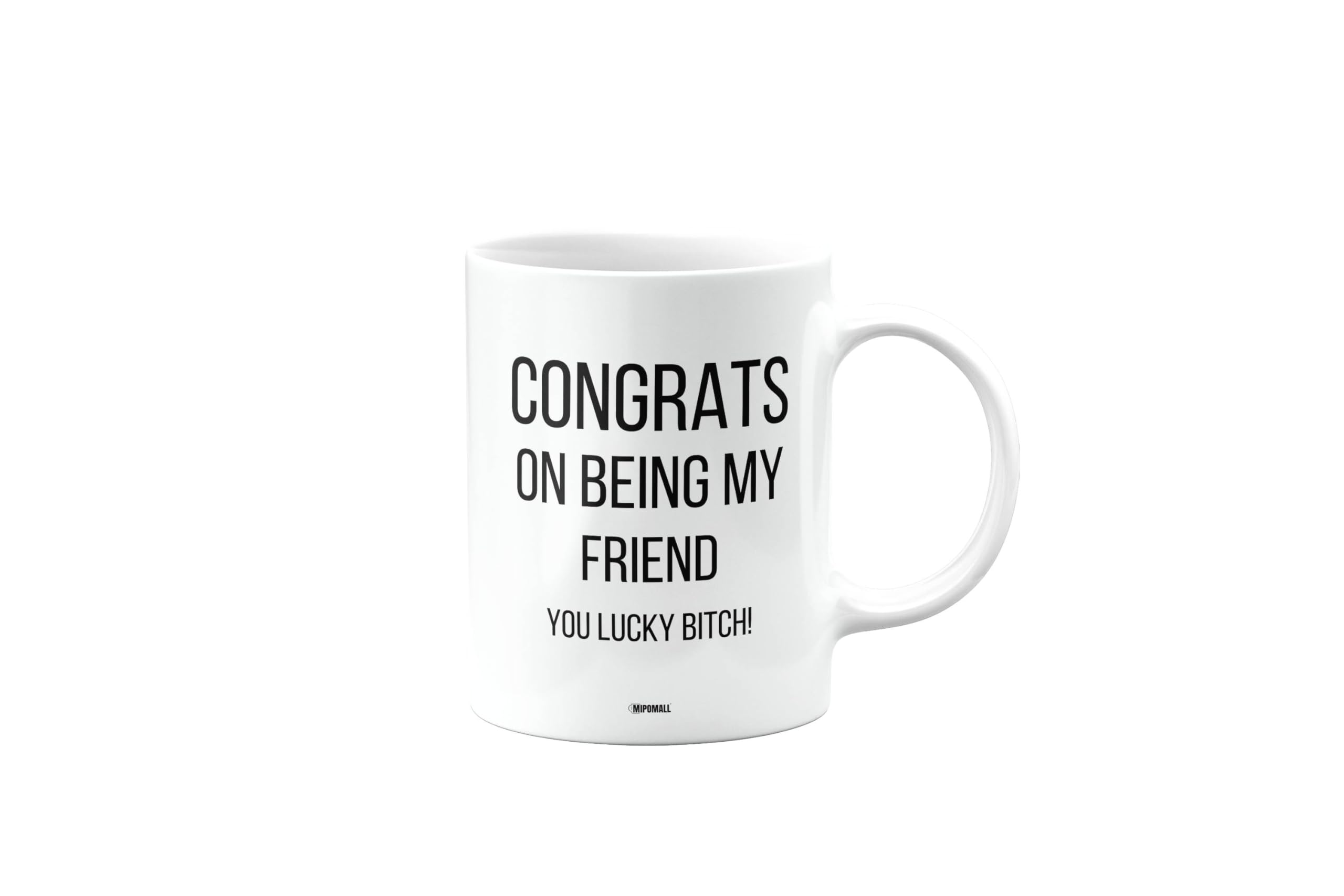 Funny Mug Present for Friend, Congrats on Being My Friend You Lucky btch, Funny Birthday Gift, Presents for Christmas, mm-CA_187_196