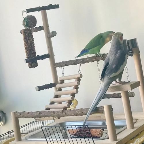 image for GOVNPJ Parrot Playground Playstands, Bird Playgrounds with Feeder Cups