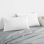Thin Flat Soft Low Pillows Queen Size Set of 2, Down Alternative Filled Bed Pillows for Side Back and Stomach Sleepers 20x30
