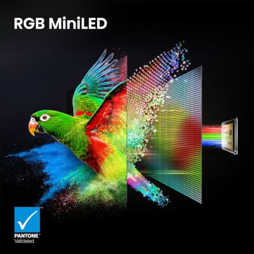 Hisense TV 65UR9S (2026) 65" RGB MiniLED 4K UHD