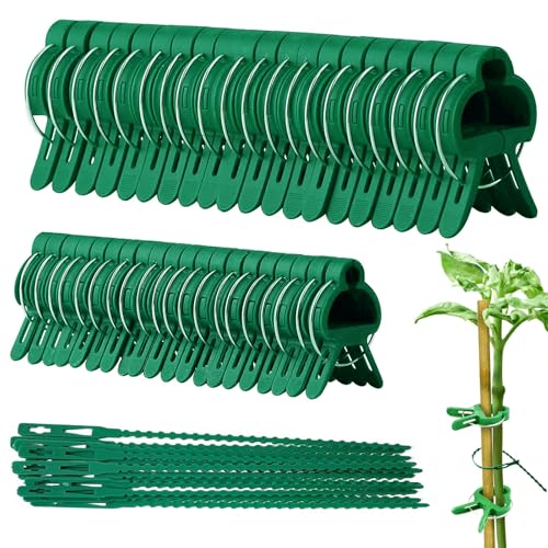 60 stuks plantenclips, plantenklemmen, tuinplantenhouders, plantenbinders, klimhulp, tomaten, klimplanten, bindset voor tomaten, bloemen, komkommers, rozen (20 grote + 20 kleine + 20 binders)
