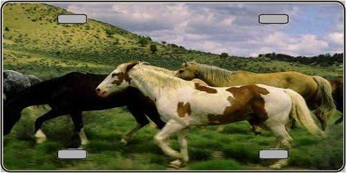 LP-2150 Wild Horses keyHkQ2s Vanity Metal Novelty License AKQb11G Plate Tag Sign licence plate metal sign yiopperkehvbncvb 34rrtyudffhgj 34eeertghvbcn vbcnxxxsaq 45ttyuirtgghnbvcx 6" x 12" standard automotive aluminum metal wzslV novelty license plate with 4 holes for easy mounting. Use this novelty license plate to personalize the front of your vehicle or embellish with 7WF2S ribbon or string and instantly turn it into a sign.