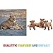 Attatoy Lion Figure Family (7-Piece Set), Pride of Lions Action Toy Figures with King Lion, Lionesses and Cubs