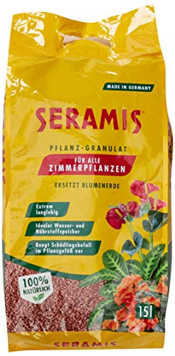 Seramis Granulat als Pflanzenerden-Ersatz für Zimmerpflanzen