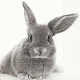  20 Servietten I Hear Everything - Ich höre Alles/Hase/Tiere/Ostern 33x33cm