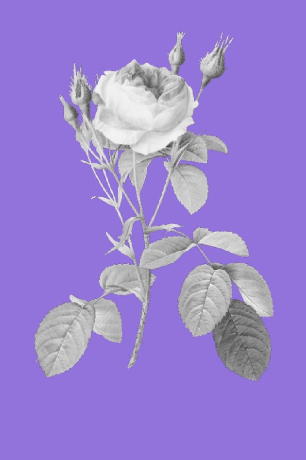 Purple Rose Journal