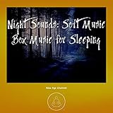  Baby Bear with Nighttime Ambiance