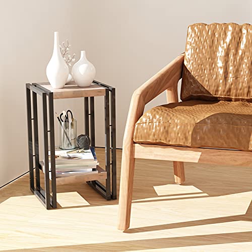 Fuslite 2 Tier Plant Stand, Vinyl Player Stand With 2 Tier Display Shelf Vintage Flower Pot Holder Plant Shelf For Living Room, Bedroom, Office #TOP5