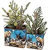 Primitives by kathy 113562 nativity bin set of 2 925 inch multicolor  urban country home decor
