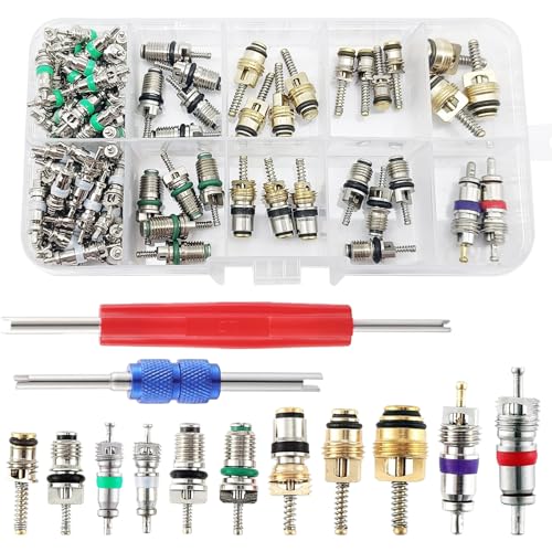102Pcs Air Conditioner Valve Accessories Kit, R12 R134a Automotive Air Conditioning Refrigeration Tire Valve Stem with Double Head Dual Dismantling Remover Tool Assortment Kit for Most Cars.
