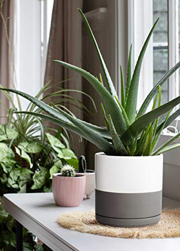 D'vine Dev 10 Inch Ceramic Planter Pot With Drainage Hole And Saucer, Indoor Cylinder Round Planter Pot, White/Speckled Grey, 94-O-L-6 #TOP1