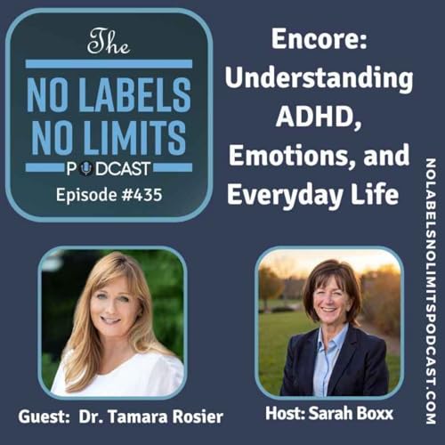 435 - Encore Understanding ADHD, Emotions, and Everyday Life with Dr. Tamara Rosier