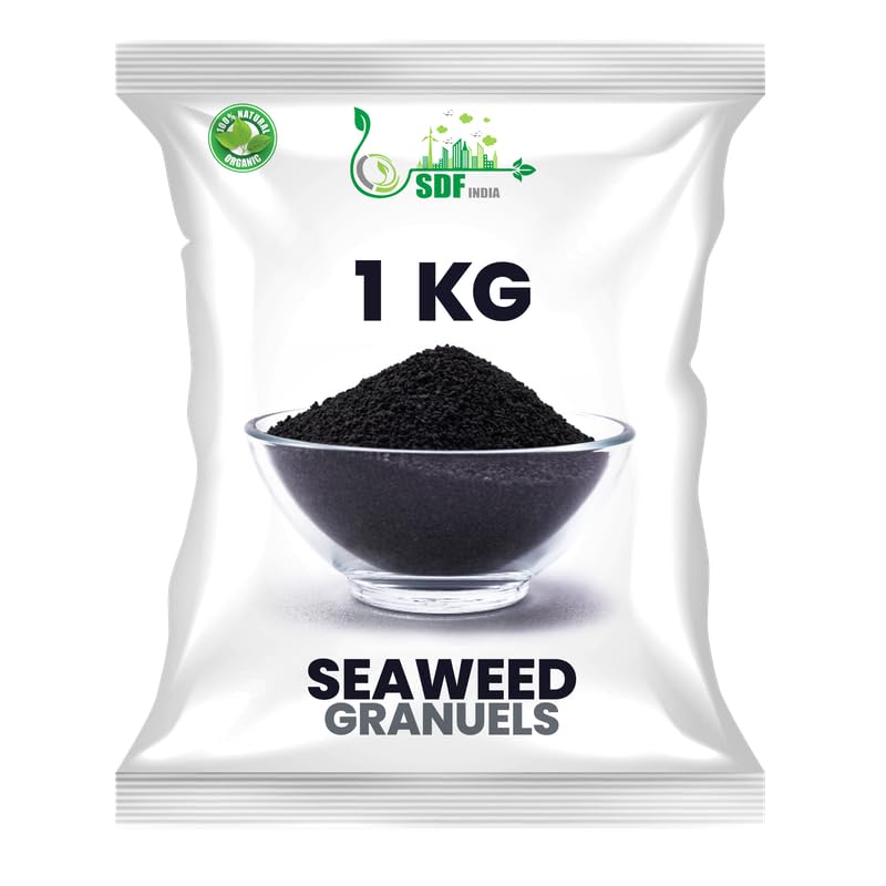 SDF Seaweed Fertilizer for Plant, Seaweed Granules for Plants Seaweed Extract Granules - Organic Fertilizer & Growth Promoter for Plants 1 kg (B0CP2HMVML) Amazon Price History, Amazon Price Tracker